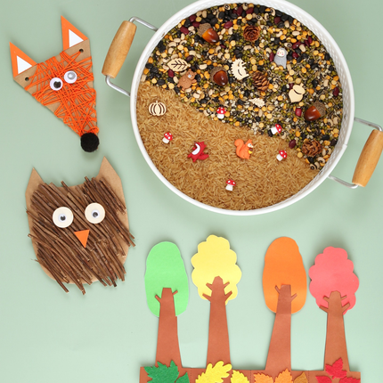 Woodland Activity Kit