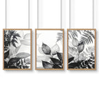 Oak Frame / A4 8.27 x 11.69 in / 21 x 29.7 cm / Satin Photo Paper 280 gsm
