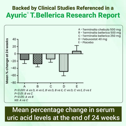 BBETTER UricUrja – Uric Acid Support with Ayuric® (Terminalia bellirica)