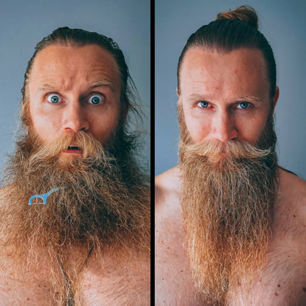 Carbon X Heated Beard Straightener