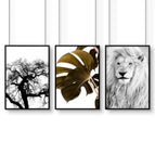 Black Frame / A4 8.27 x 11.69 in / 21 x 29.7 cm / Satin Photo Paper 280 gsm