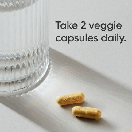 Sports Research Berberine 500mg – 120 Veggie Capsules | Vegan, Gluten-Free, Non-GMO