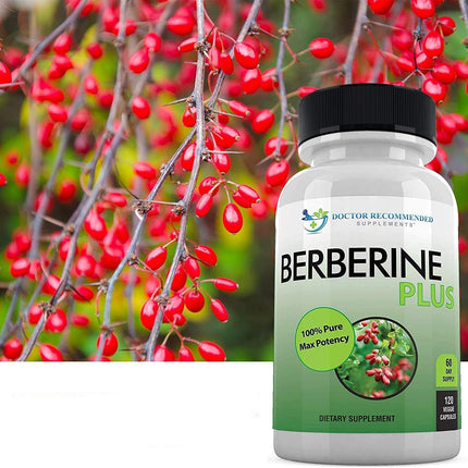 Berberine Plus 1200 mg | Doctor Recommended Supplements | 120 Veggie Capsules (Pack of 2)