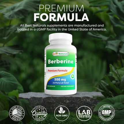 Best Naturals Berberine 500mg 120 Capsules – Immune, Cardiovascular & GI Support (Pack of 2)