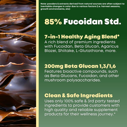 Beta Glucan & Fucoidan Brown Seaweed Extract - Immune & Cellular Support (90 Capsules) - Non-GMO, Gluten Free