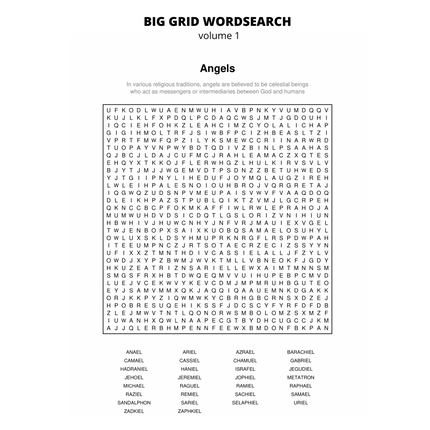 BIG GRID Word Search - 111 HUGE Themed Puzzles - Massive 30x30 Grid - Solutions Included