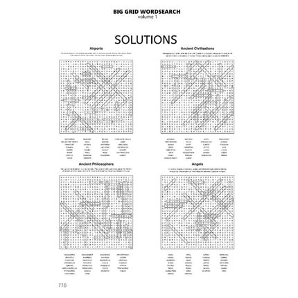 BIG GRID Word Search - 111 HUGE Themed Puzzles - Massive 30x30 Grid - Solutions Included