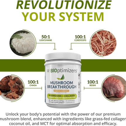 BIOptimizers Mushroom Coffee Alternative – Salted Caramel with Lion's Mane, Chaga, Reishi + Collagen & MCT (15 Servings)