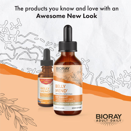 BIORAY Daily Belly Mend - 2 fl oz | 11-Strain Probiotic + Medicinal Mushrooms