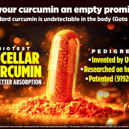 Biotest Micellar Curcumin – 95x Absorption, UCLA-Invented & Patented, 60 Capsules