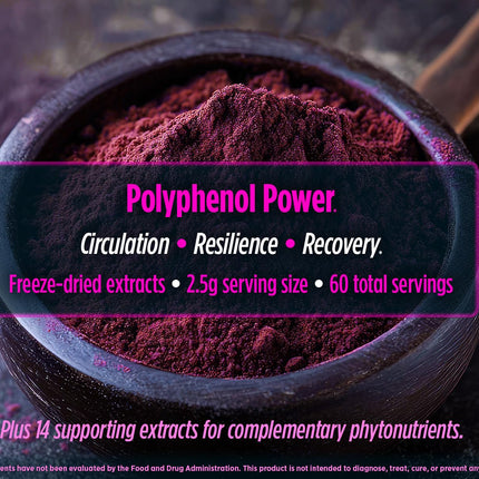 Biotest Superfood Berry-Dense Polyphenols – Blueberry, Raspberry, Strawberry & Maqui (30 Servings)