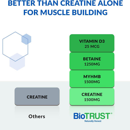 BioTrust Ageless Muscle Builder - Creatine HMB Powder with Vitamin D3 & Betaine | Build & Preserve Muscle Mass Naturally Declining with Age - Fruit Punch, 60 Servings