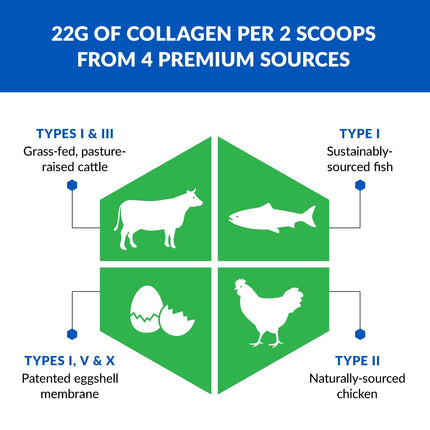 BioTrust Multi Collagen Protein Powder + Keto MCT Oil (Unflavored) – 5 Types I–X & C8 MCT