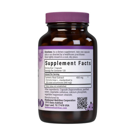 BlueBonnet Turmeric Root Extract Supplement, 120 Count – 380 mg Curcuminoids per Serving, Vegan & Non-GMO