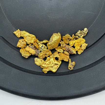 Bobby Nugget Gold Paydirt – 1 Gram Gold in Every Bag | Gold Prospecting