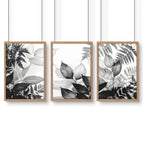 Oak Frame / A4 8.27 x 11.69 in / 21 x 29.7 cm / Satin Photo Paper 280 gsm