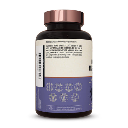 Live Conscious Lions Mane Mushroom Supplement Capsules for Brain Support - Lion's Mane, Cordyceps, Reishi & Turkey Tail