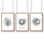 Oak Frame / A4 8.27 x 11.69 in / 21 x 29.7 cm / Satin Photo Paper 280 gsm