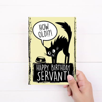 Birthday Card | Cattitude |Greeting Card | Happy Birthday Servant