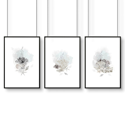 Home Office wall art | set of 3 Coastal Seashells artwork prints