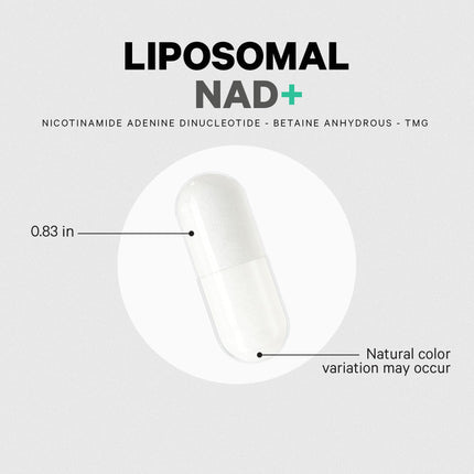 Codeage Liposomal NAD+ Supplement - 500 mg per Serving | Vegan, Non-GMO | 60 Capsules