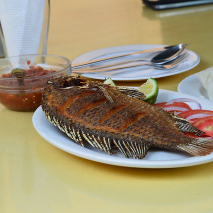 Costack Fish & Seafood Seasoning