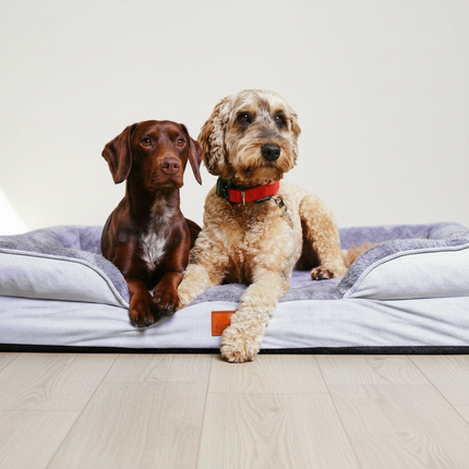 The Belgravia Orthopaedic Dog Sofa™ - Xl