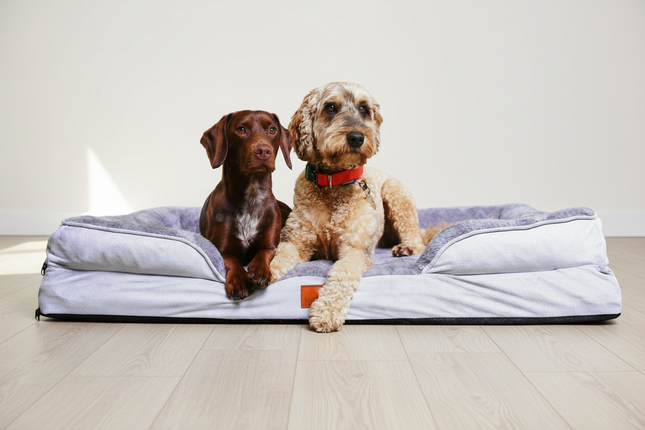 The Belgravia Orthopaedic Dog Sofa™ - Xl