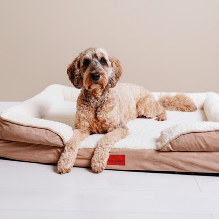The Belgravia Orthopaedic Dog Sofa™ - Xl