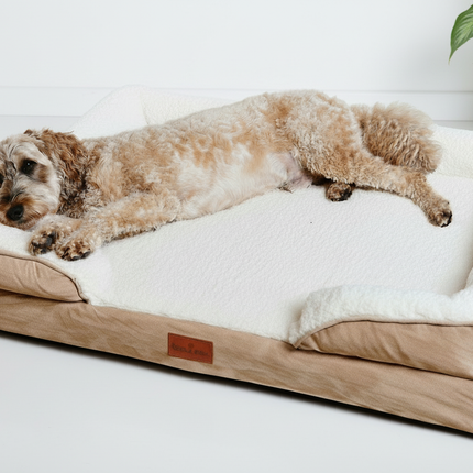 The Belgravia Orthopaedic Dog Sofa™ - Xl