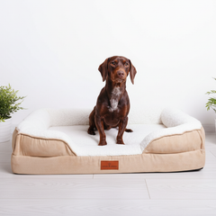 Collection image for: Premium Orthopaedic Dog Beds