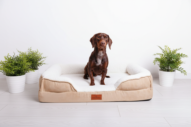 The Belgravia Orthopaedic Dog Sofa™ - Medium