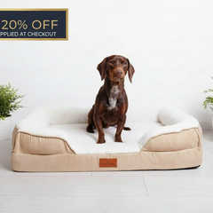 Collection image for: Premium Orthopaedic Dog Beds