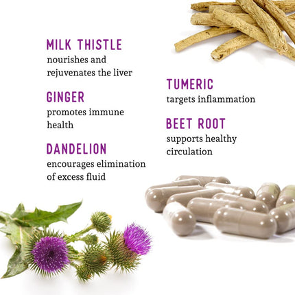 Dr. Barry's Total Liver Supplement – Milk Thistle, Artichoke & Dandelion Root | 60 Capsules
