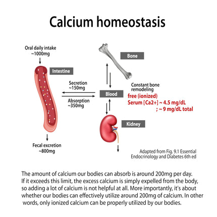 Dr. G's Ionized Cal Mag Powder – 60 Sticks, 2:1 Calcium:Magnesium