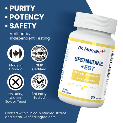 Dr. Morgan Spermidine & Ergothioneine – 99% Purity, Third-Party Tested