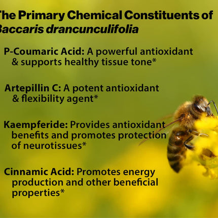 Dr. Ohhira's Propolis Plus 30 Capsules – Brazilian Green Propolis Immune Support