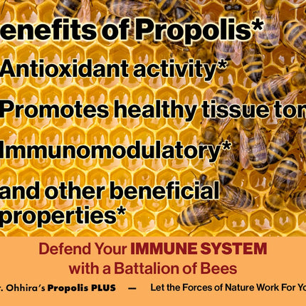 Dr. Ohhira's Propolis Plus 30 Capsules – Brazilian Green Propolis Immune Support