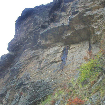 Dragon Herbs High Mountain Shilajit - 450 mg - 60 Capsules