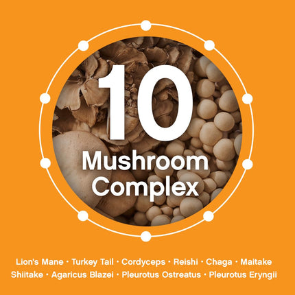 Earthiva Mushroom Complex Supplement – 60 Capsules | 10-in-1 Blend