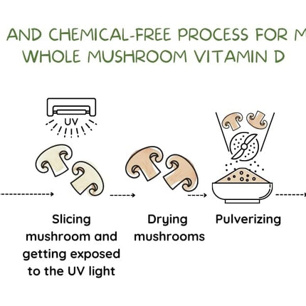 EAT INTACT Vegan Vitamin D 2000 IU | Organic Whole Mushroom, Two-Ingredient