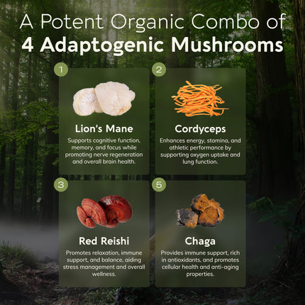 Organic Emperor 4 Mushroom Blend 100g – Fruiting Body Extract | Lions Mane, Cordyceps, Chaga & Reishi