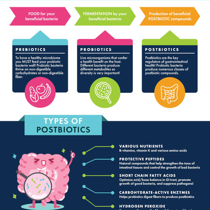 Dr Ohhira's Probiotics Original by Essential Formulas — 3-Year Fermented Prebiotics, Postbiotic Metabolites, 60 Capsules