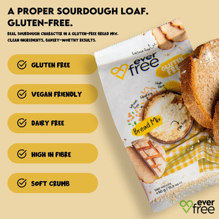 EverFree Gluten-Free Sourdough Bread Mix - 350g | Pack of 3
