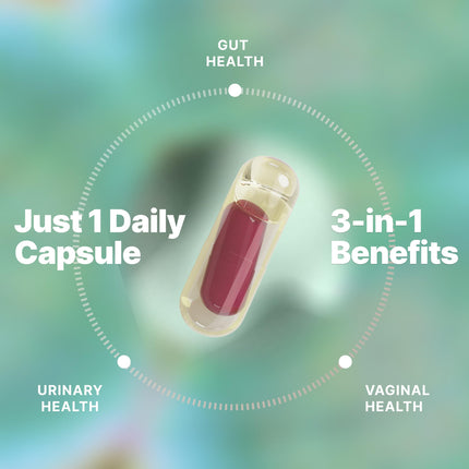 Evvy Women's 3-in-1 Complete Probiotic | Daily Gut, Urinary & Vaginal Health | 30 Day Supply