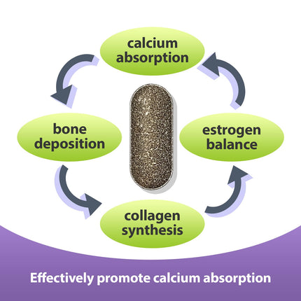 FitRx EuBone Calcium + Magnesium with Vitamin D3 & K2 – 30 Servings (Plant-Based Minis)