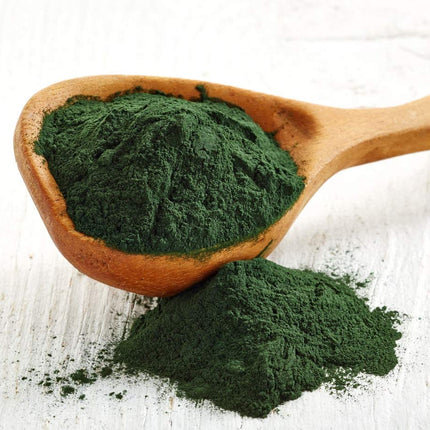Food to Live Chlorella Powder 1 lb - Kosher, Raw Green Algae, Vegan Superfood