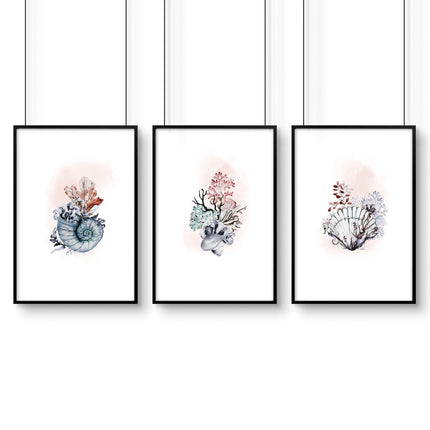 Coastal Prints Set of 3 | Framed Seashell Wall Art