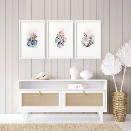 Coastal Prints Set of 3 | Framed Seashell Wall Art