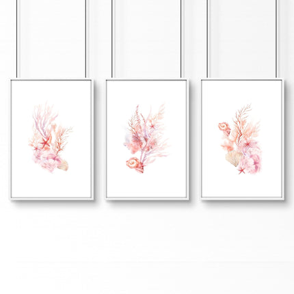 Framed Pictures For The Bathroom | Set of 3 Seashells Wall art Prints